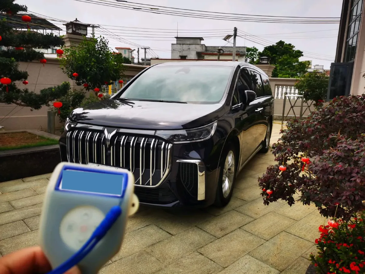 2024 Voyah Dream 1.5T 150HP L4 PHEV 43KWH,autocango,china used car exporter,china ev exporter,chinese used car exporter,chinese used ev exporter