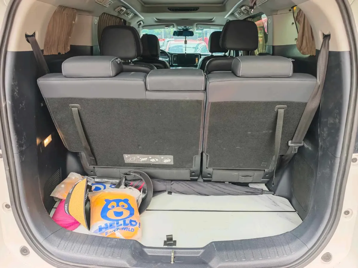 2021 GAC Trumpchi M8 2.0T 252HP L4 8AT,autocango,china used car exporter,china ev exporter,chinese used car exporter,chinese used ev exporter