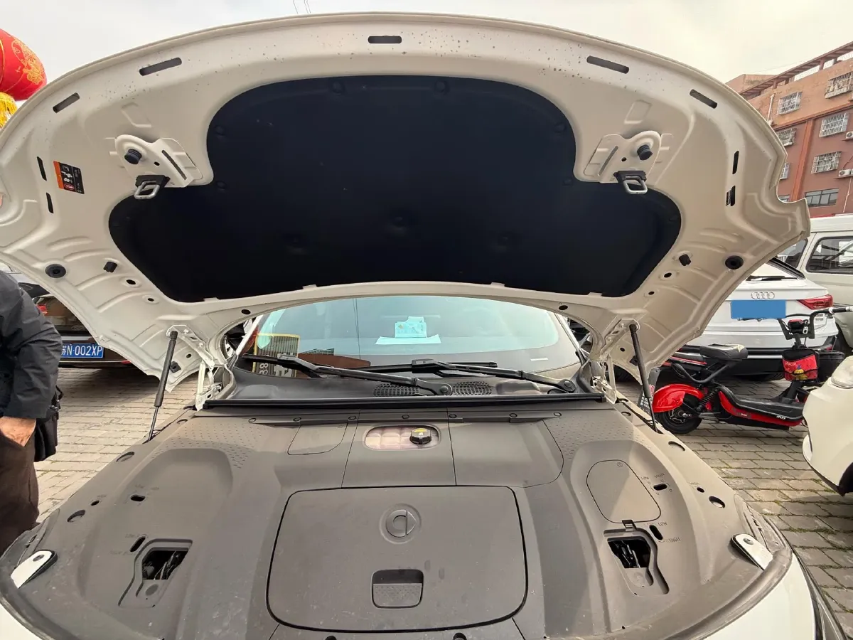 2024 Smart smart Elf 3 BEV 49KWH,autocango,china used car exporter,china ev exporter,chinese used car exporter,chinese used ev exporter