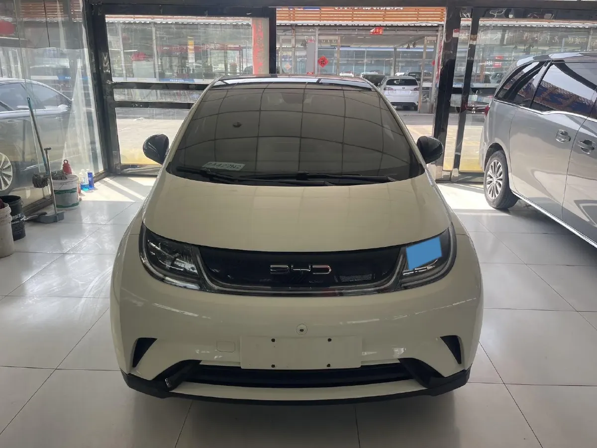 2023 BYD Dolphin BEV 44.928KWH,autocango,china used car exporter,china ev exporter,chinese used car exporter,chinese used ev exporter