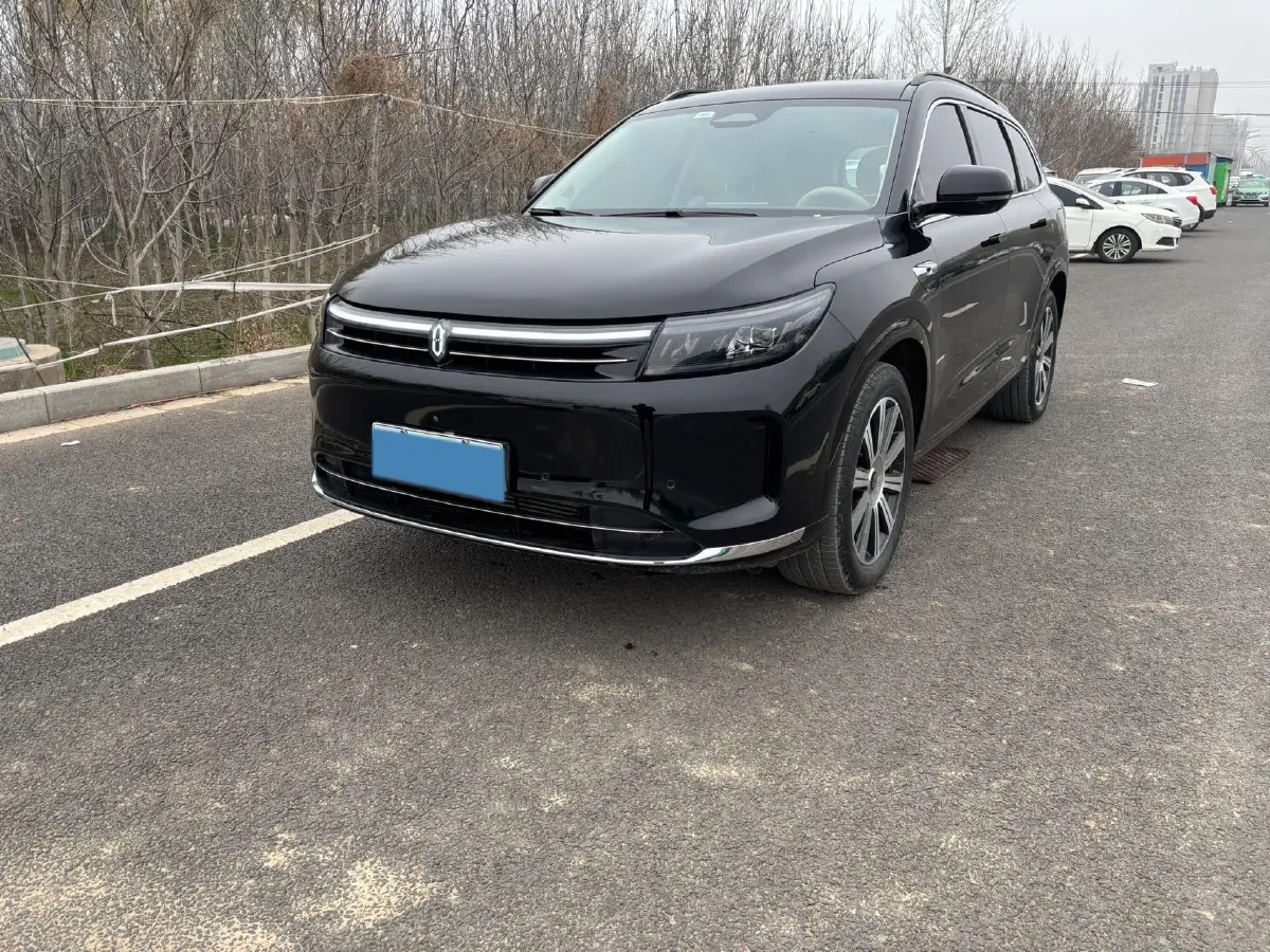 2024 AITO AITO M7 1.5T 152HP L4 REEV 38.5KWH,autocango,china used car exporter,china ev exporter,chinese used car exporter,chinese used ev exporter