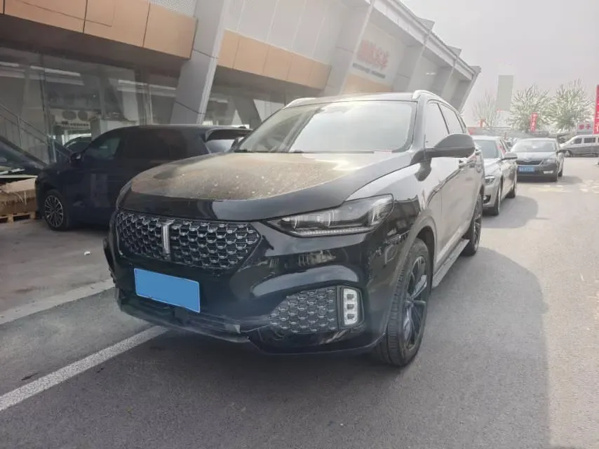 2020 WEY VV6 2.0T 227HP L4 7DCT,autocango,china used car exporter,china ev exporter,chinese used car exporter,chinese used ev exporter