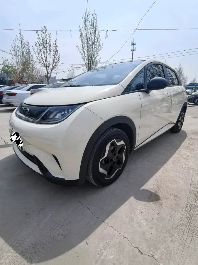 2021 BYD Yuan Pro BEV 50.1KWH,autocango,china used car exporter,china ev exporter,chinese used car exporter,chinese used ev exporter