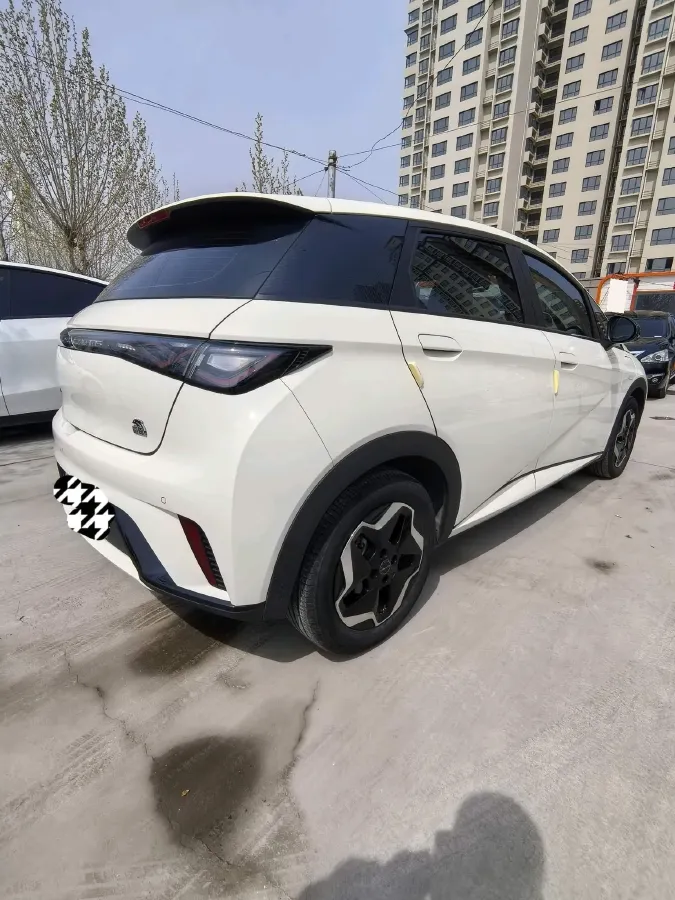 2021 BYD Yuan Pro BEV 50.1KWH,autocango,china used car exporter,china ev exporter,chinese used car exporter,chinese used ev exporter