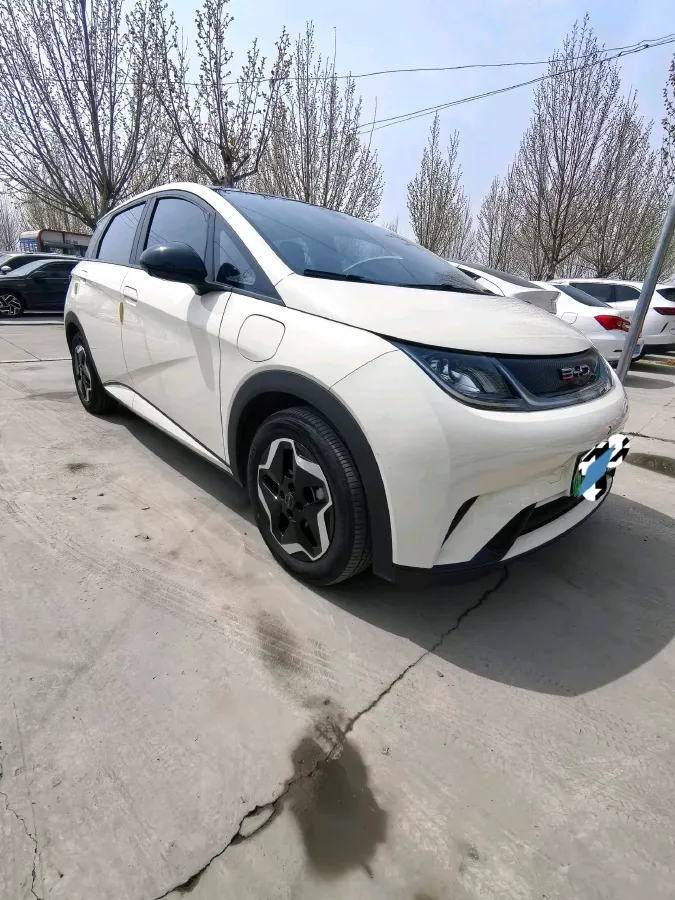 2021 BYD Yuan Pro BEV 50.1KWH,autocango,china used car exporter,china ev exporter,chinese used car exporter,chinese used ev exporter