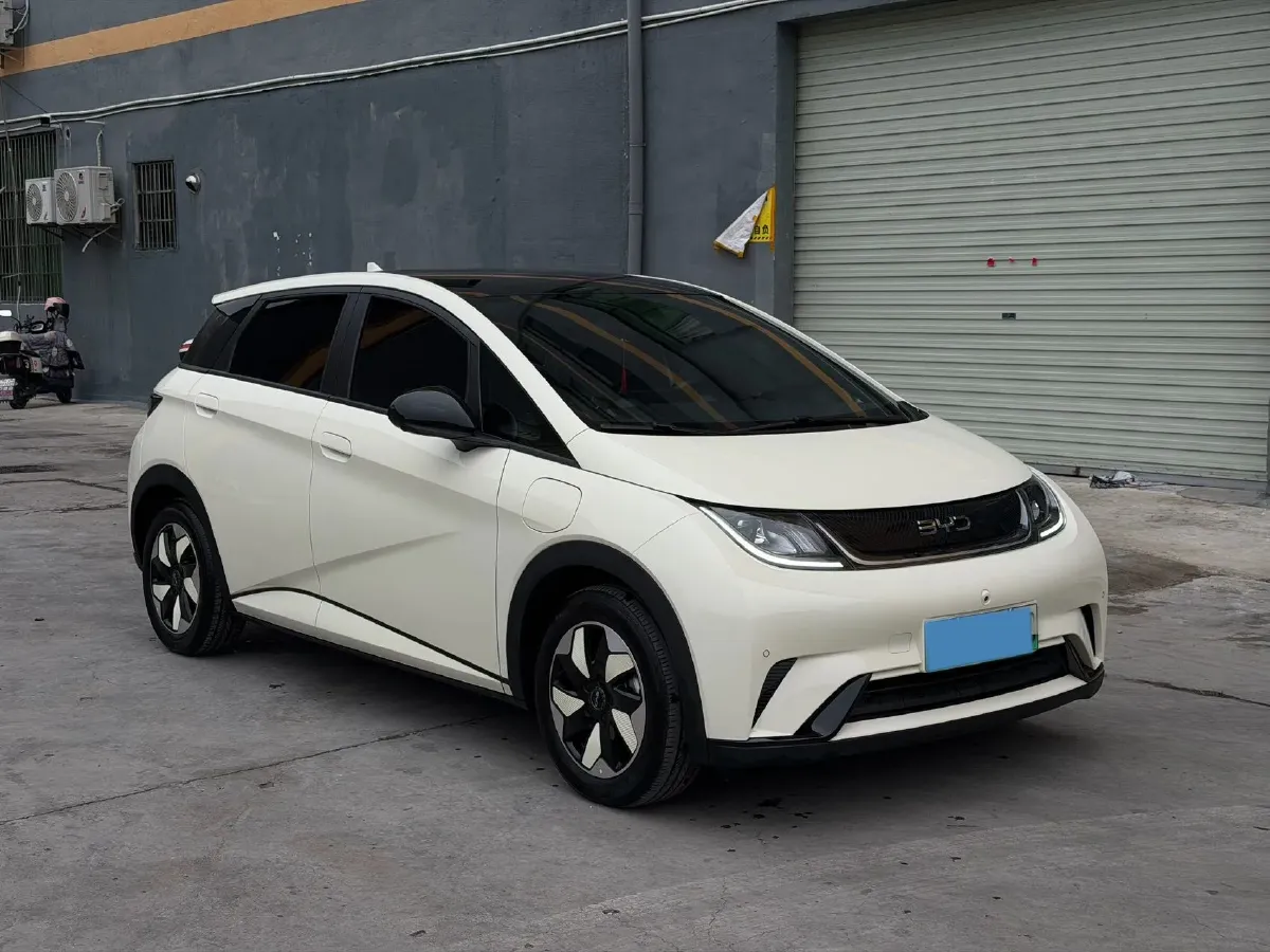 2024 BYD Dolphin BEV 44.928KWH,autocango,china used car exporter,china ev exporter,chinese used car exporter,chinese used ev exporter