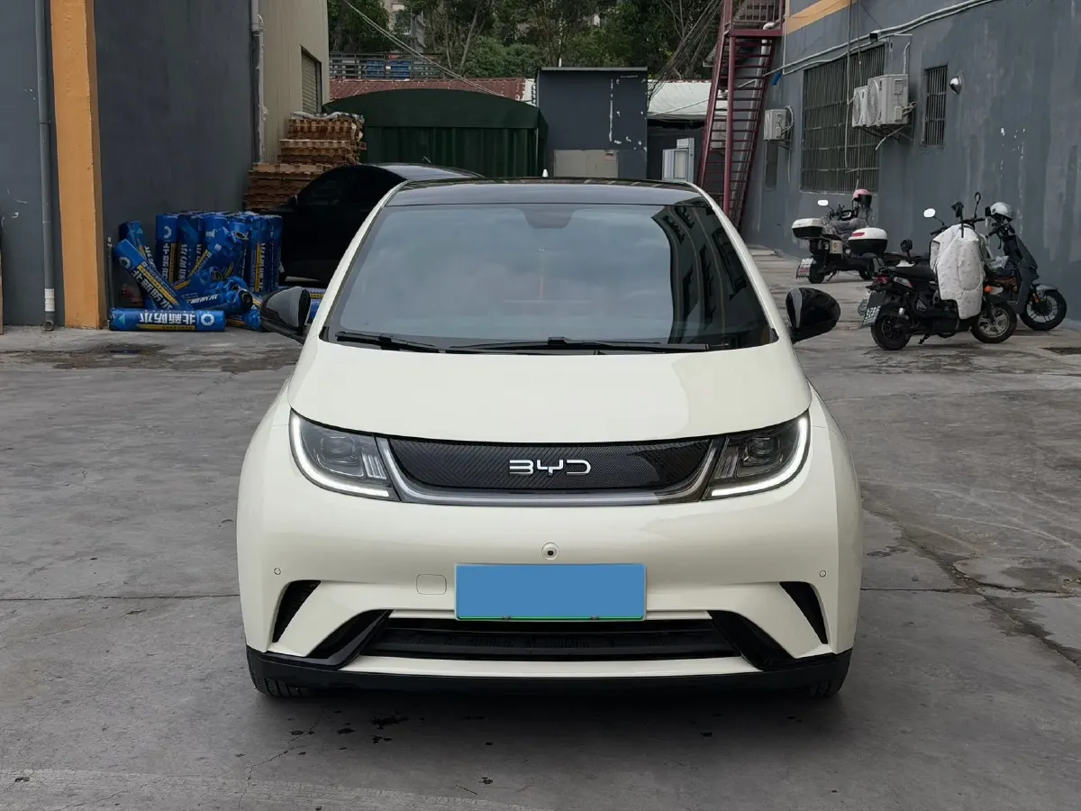 2024 BYD Dolphin BEV 44.928KWH,autocango,china used car exporter,china ev exporter,chinese used car exporter,chinese used ev exporter