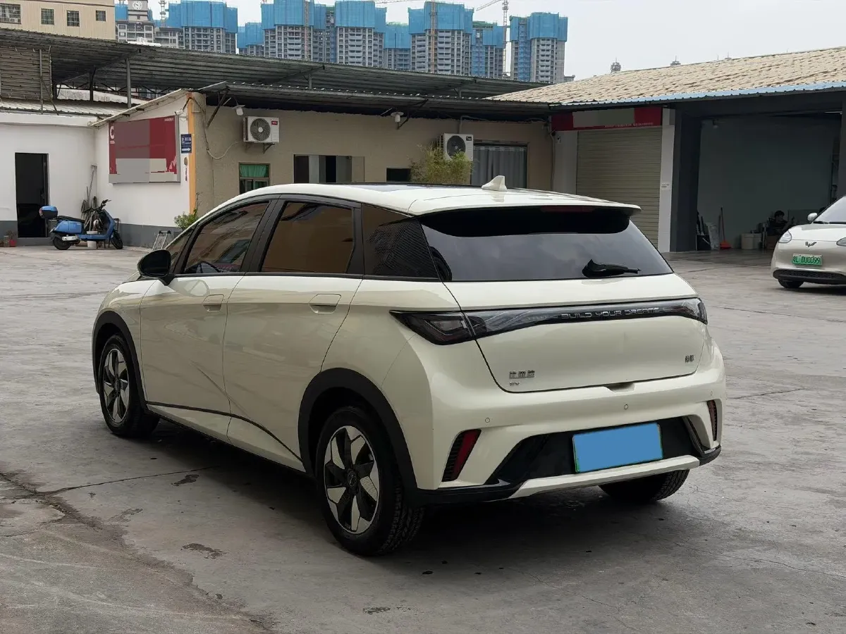 2024 BYD Dolphin BEV 44.928KWH,autocango,china used car exporter,china ev exporter,chinese used car exporter,chinese used ev exporter