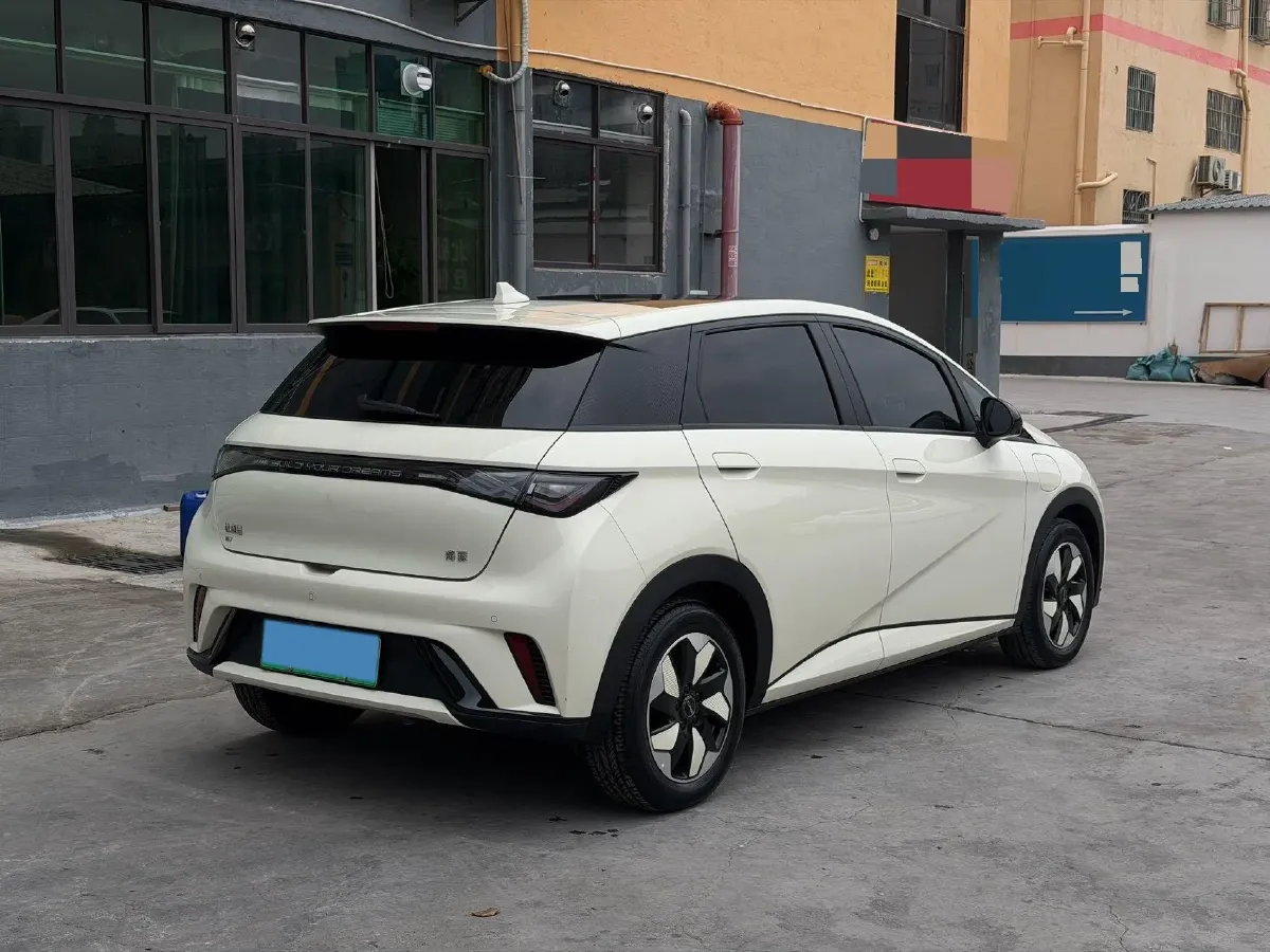 2024 BYD Dolphin BEV 44.928KWH,autocango,china used car exporter,china ev exporter,chinese used car exporter,chinese used ev exporter