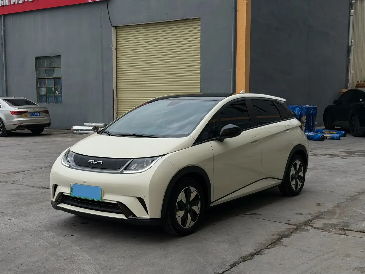 2024 BYD Dolphin BEV 44.928KWH,autocango,china used car exporter,china ev exporter,chinese used car exporter,chinese used ev exporter