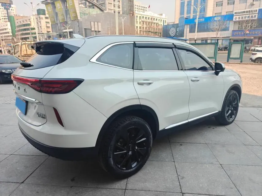 2021 Haval H6 2.0T 211HP L4 7DCT,autocango,china used car exporter,china ev exporter,chinese used car exporter,chinese used ev exporter
