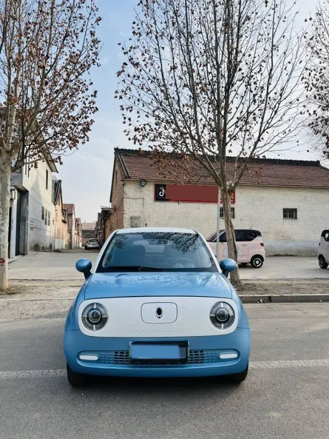 2019 Ora BlackCat BEV 28.5KWH,autocango,china used car exporter,china ev exporter,chinese used car exporter,chinese used ev exporter