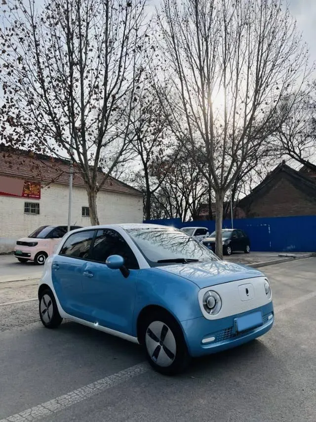 2019 Ora BlackCat BEV 28.5KWH,autocango,china used car exporter,china ev exporter,chinese used car exporter,chinese used ev exporter