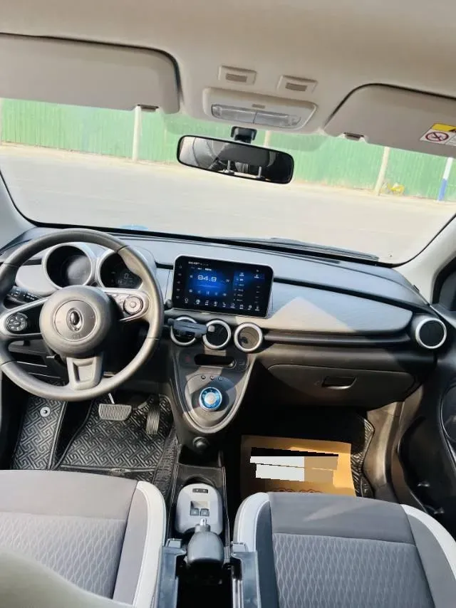 2019 Ora BlackCat BEV 28.5KWH,autocango,china used car exporter,china ev exporter,chinese used car exporter,chinese used ev exporter