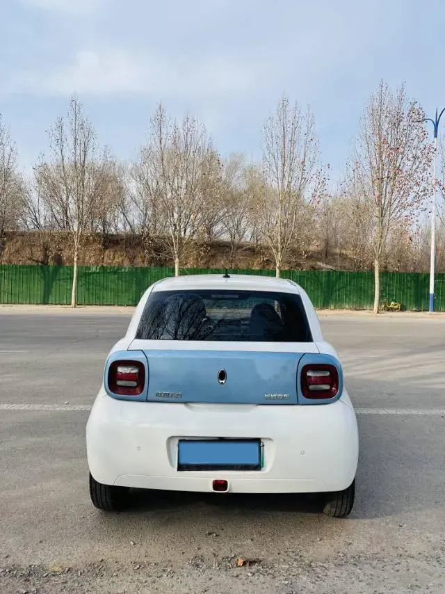 2019 Ora BlackCat BEV 28.5KWH,autocango,china used car exporter,china ev exporter,chinese used car exporter,chinese used ev exporter