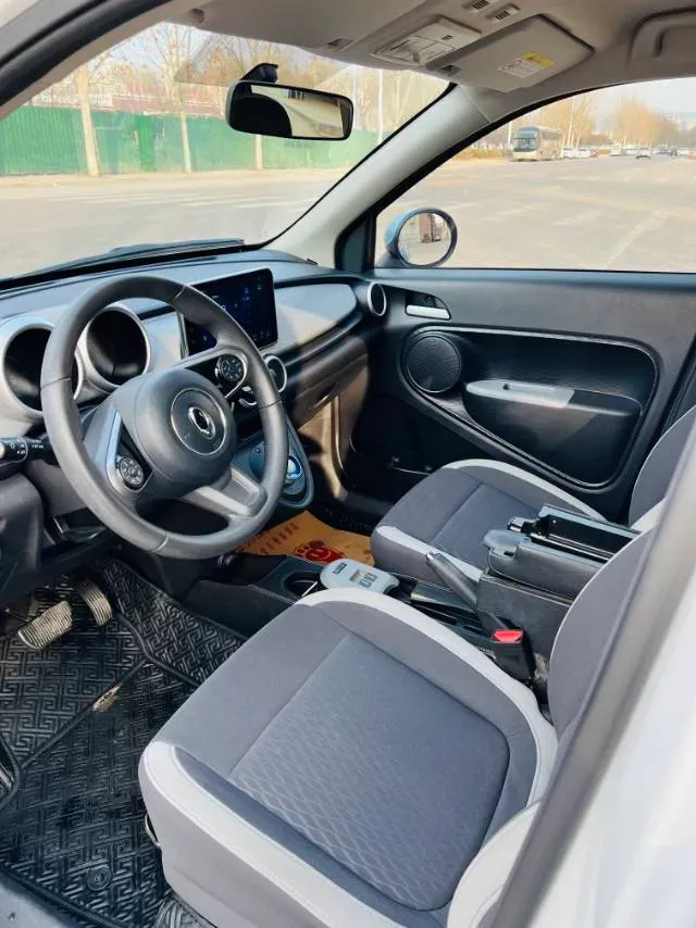 2019 Ora BlackCat BEV 28.5KWH,autocango,china used car exporter,china ev exporter,chinese used car exporter,chinese used ev exporter