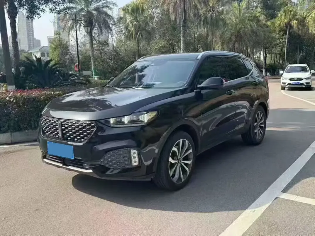 2021 WEY VV6 2.0T 227HP L4 7DCT,autocango,china used car exporter,china ev exporter,chinese used car exporter,chinese used ev exporter