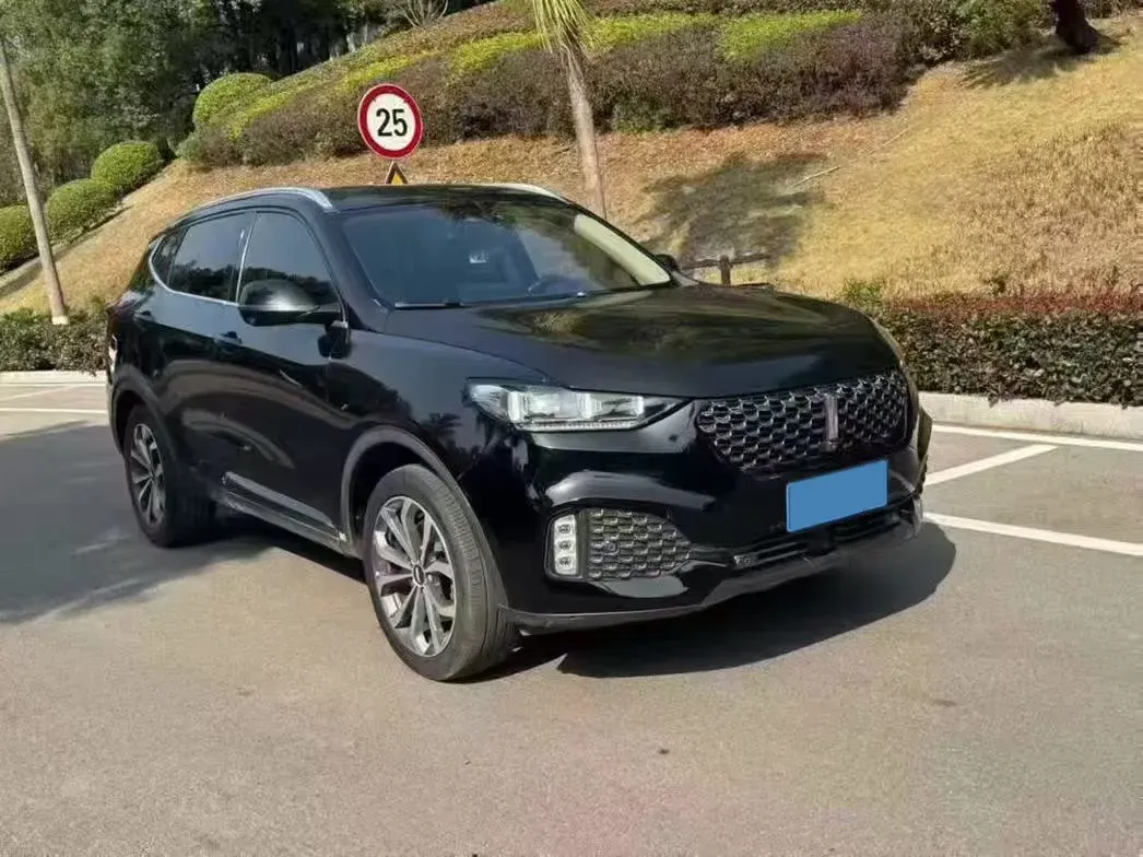 2021 WEY VV6 2.0T 227HP L4 7DCT,autocango,china used car exporter,china ev exporter,chinese used car exporter,chinese used ev exporter