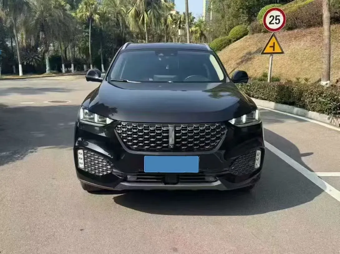 2021 WEY VV6 2.0T 227HP L4 7DCT,autocango,china used car exporter,china ev exporter,chinese used car exporter,chinese used ev exporter
