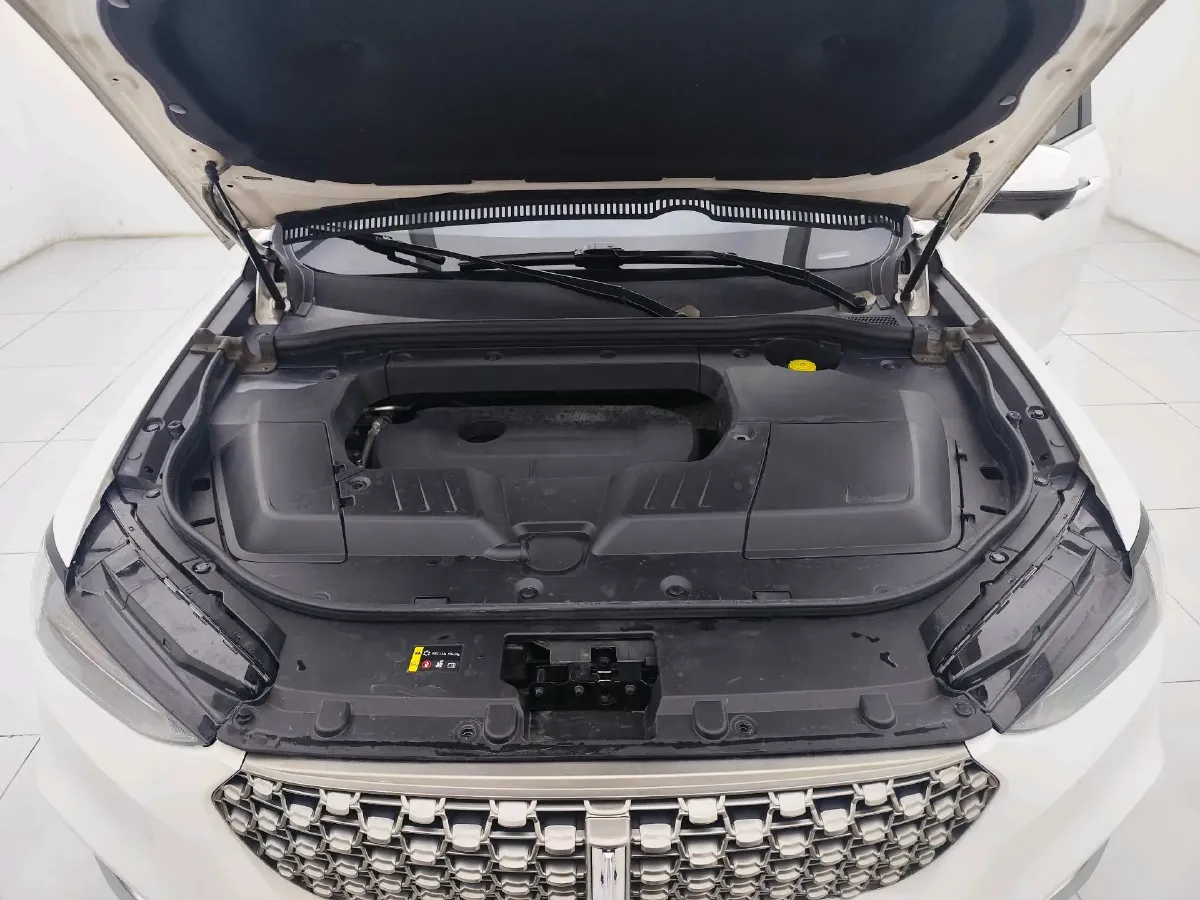 2021 WEY VV6 2.0T 227HP L4 7DCT,autocango,china used car exporter,china ev exporter,chinese used car exporter,chinese used ev exporter