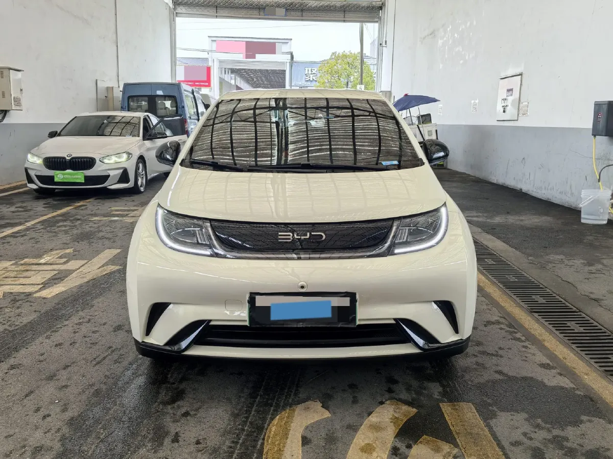 2025 BYD Dolphin BEV 44.928KWH,autocango,china used car exporter,china ev exporter,chinese used car exporter,chinese used ev exporter