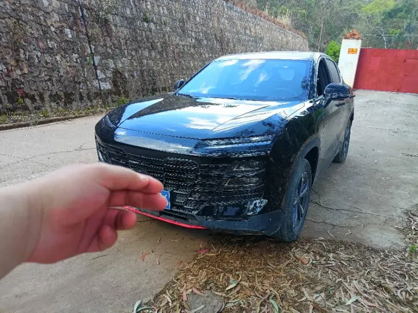2023 Jetour DASHING 1.5T 156HP L4 6DCT,autocango,china used car exporter,china ev exporter,chinese used car exporter,chinese used ev exporter