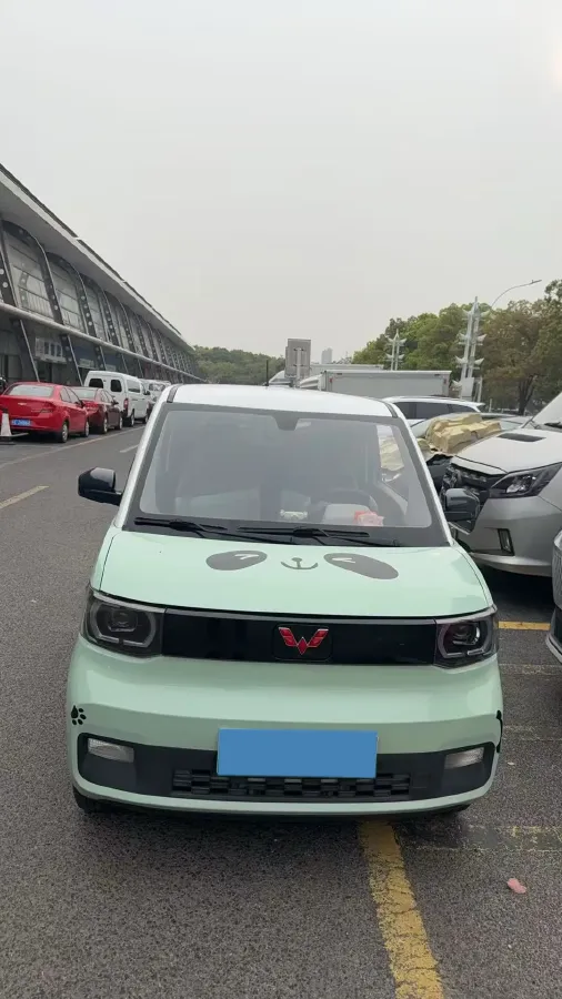 2021 WuLing HongGuang MINI EV BEV 9KWH,autocango,china used car exporter,china ev exporter,chinese used car exporter,chinese used ev exporter