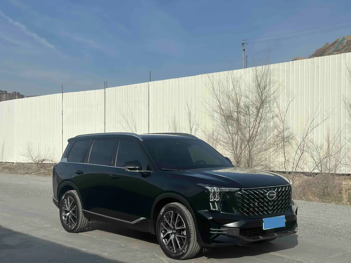 2022 GAC Trumpchi GS8 2.0T 252HP L4 8AT,autocango,china used car exporter,china ev exporter,chinese used car exporter,chinese used ev exporter