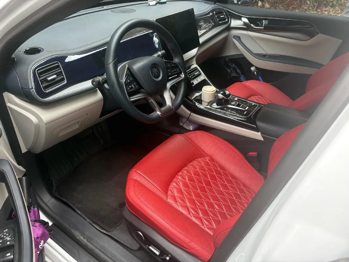 2021 BYD Qin Plus BEV 57.6KWH,autocango,china used car exporter,china ev exporter,chinese used car exporter,chinese used ev exporter