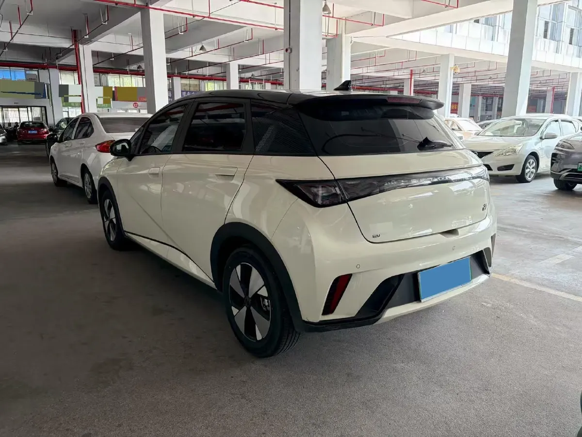2023 BYD Dolphin BEV 44.928KWH,autocango,china used car exporter,china ev exporter,chinese used car exporter,chinese used ev exporter