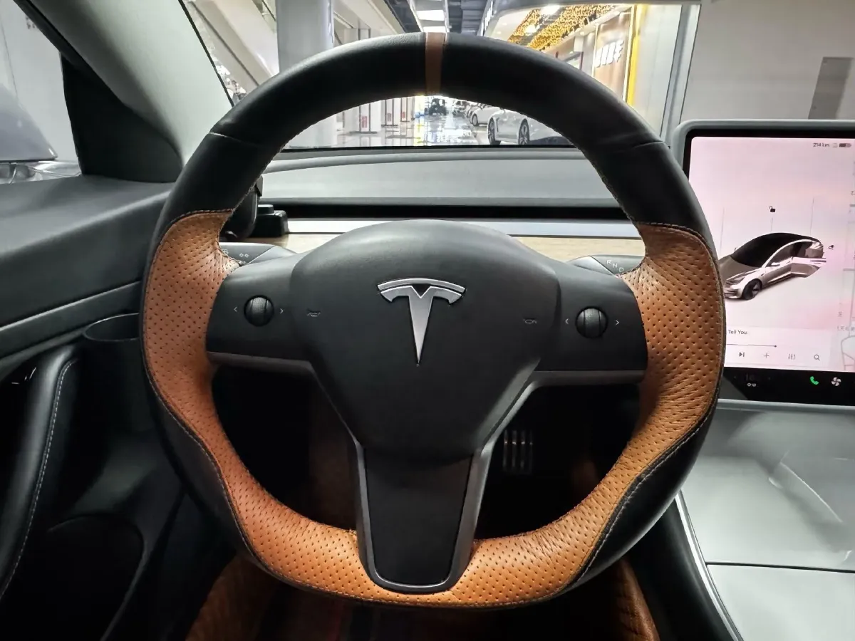 2020 Tesla Model 3 BEV 52KWH,autocango,china used car exporter,china ev exporter,chinese used car exporter,chinese used ev exporter