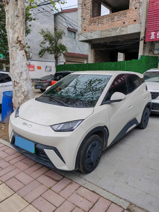 2025 BYD Seagull BEV 30.08KWH,autocango,china used car exporter,china ev exporter,chinese used car exporter,chinese used ev exporter