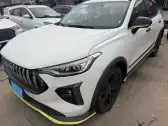 2021 HAVAL RABBIT,autocango,china used car exporter,china ev exporter,chinese used car exporter,chinese used ev exporter
