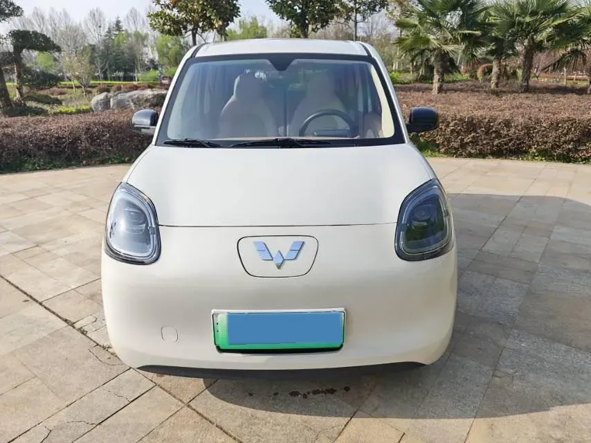 2025 WuLing HongGuang MINI EV BEV 16.2KWH,autocango,china used car exporter,china ev exporter,chinese used car exporter,chinese used ev exporter