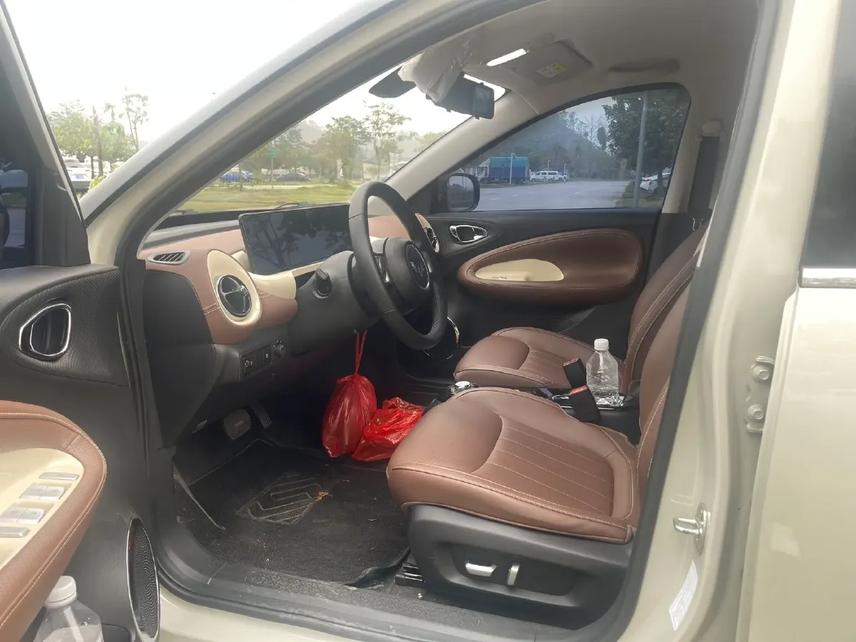 2024 WuLing BinGuo BEV 37.9KWH,autocango,china used car exporter,china ev exporter,chinese used car exporter,chinese used ev exporter