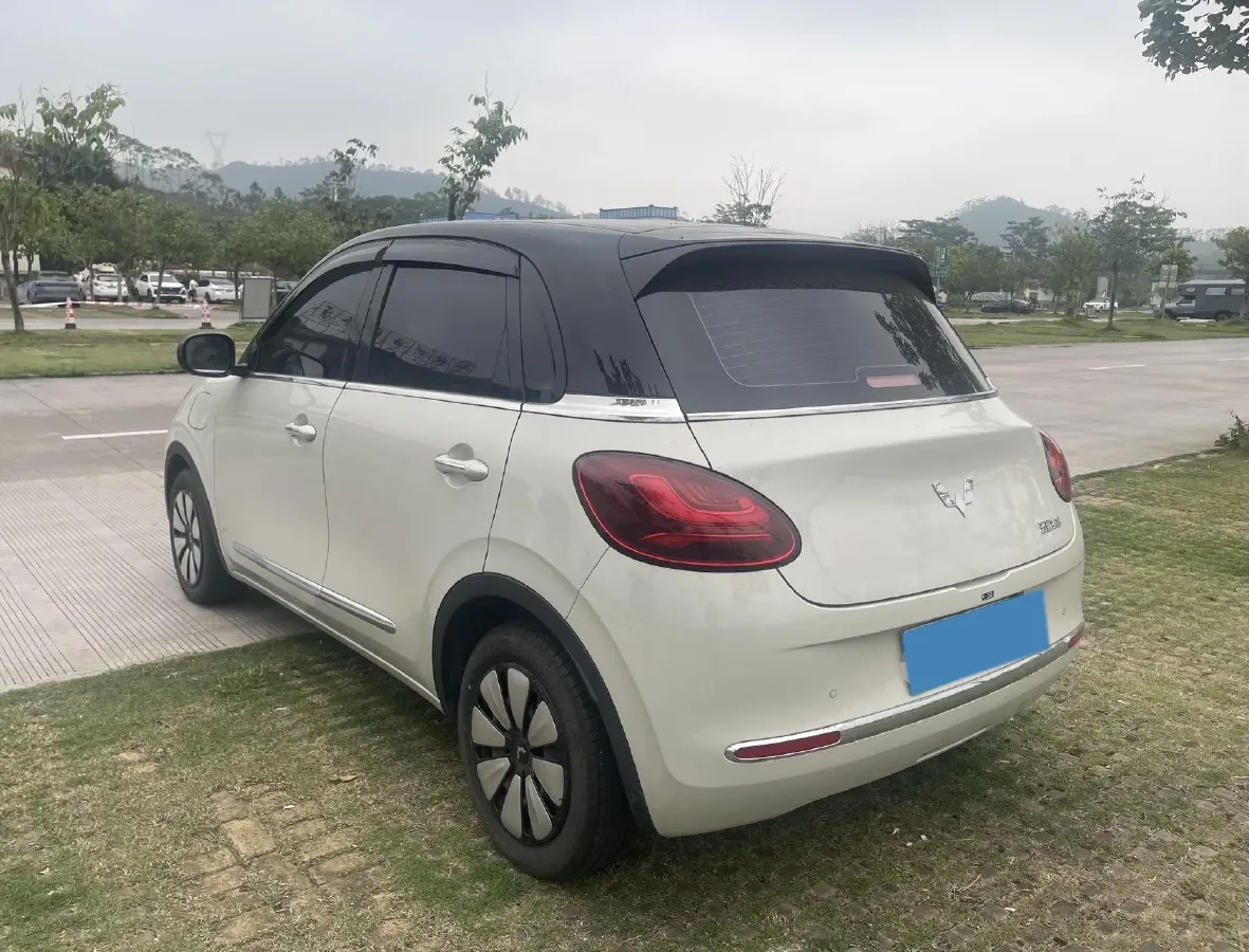 2024 WuLing BinGuo BEV 37.9KWH,autocango,china used car exporter,china ev exporter,chinese used car exporter,chinese used ev exporter