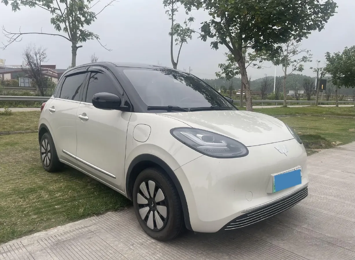 2024 WuLing BinGuo BEV 37.9KWH,autocango,china used car exporter,china ev exporter,chinese used car exporter,chinese used ev exporter