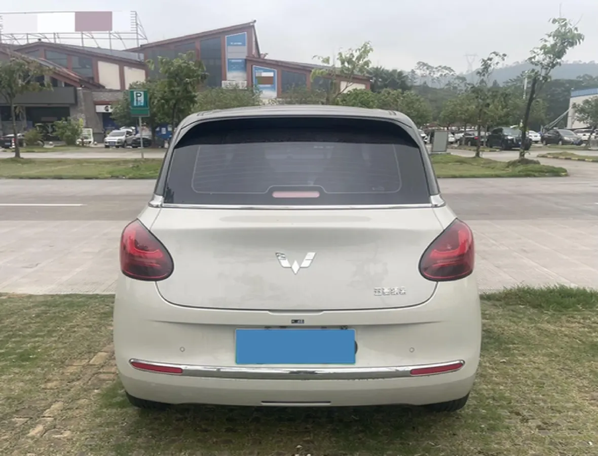 2024 WuLing BinGuo BEV 37.9KWH,autocango,china used car exporter,china ev exporter,chinese used car exporter,chinese used ev exporter