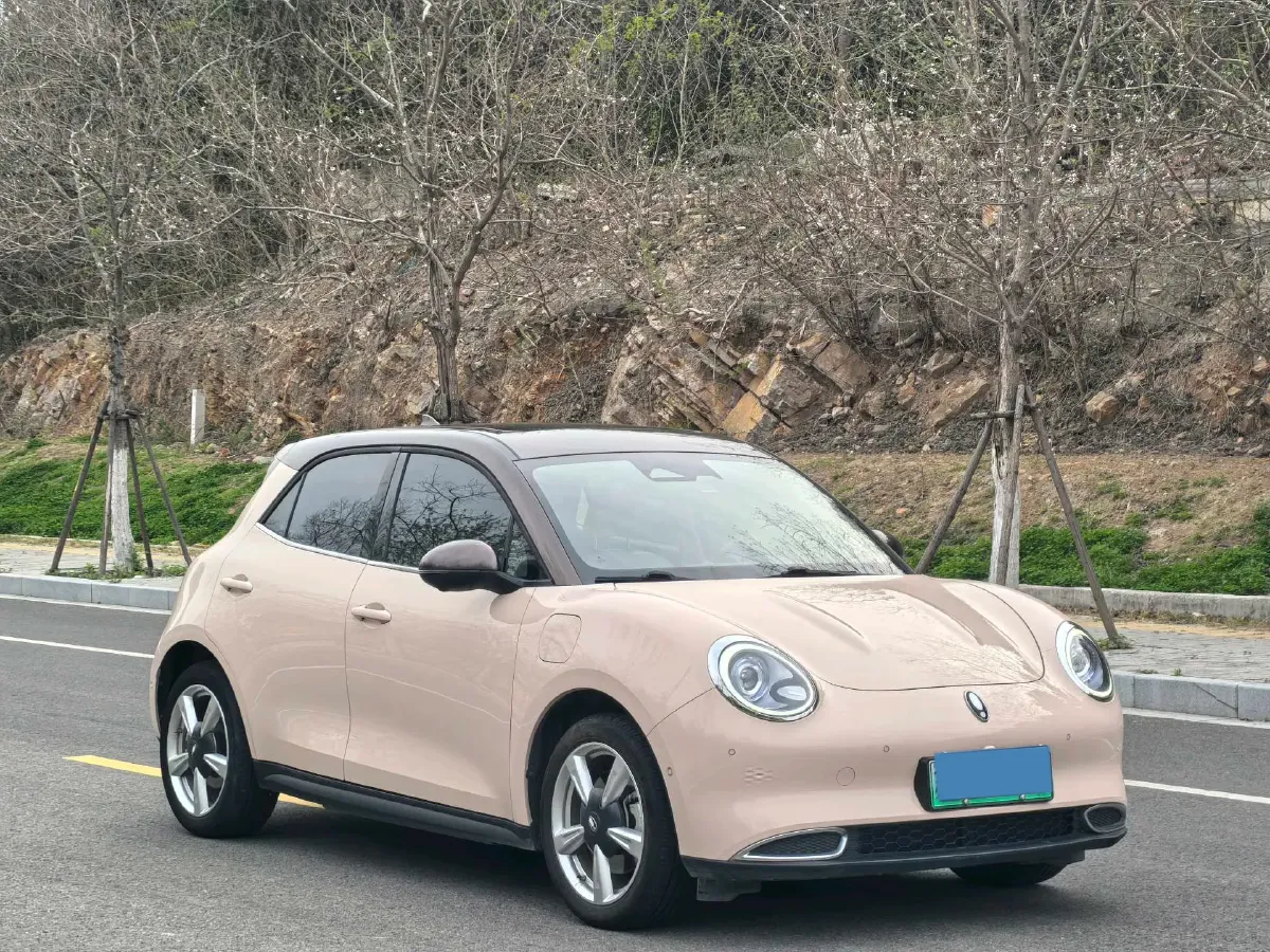 2021 Ora FunkyCat BEV 45.99KWH,autocango,china used car exporter,china ev exporter,chinese used car exporter,chinese used ev exporter