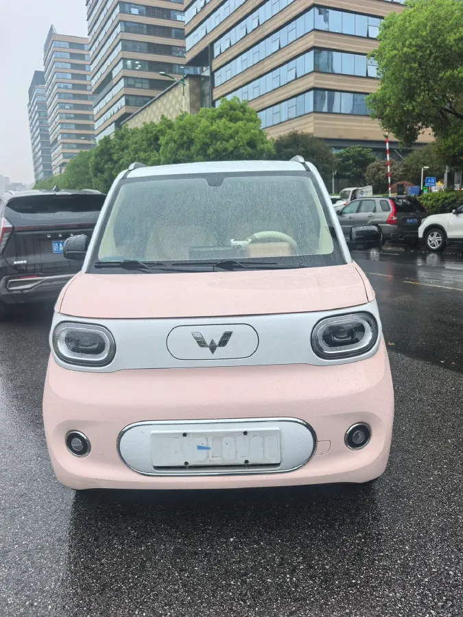 2024 WuLing HongGuang MINI EV BEV 17.3KWH,autocango,china used car exporter,china ev exporter,chinese used car exporter,chinese used ev exporter