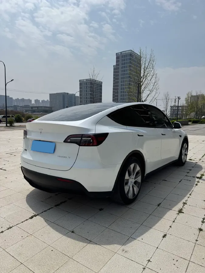 2021 Tesla Model Y BEV 60KWH,autocango,china used car exporter,china ev exporter,chinese used car exporter,chinese used ev exporter