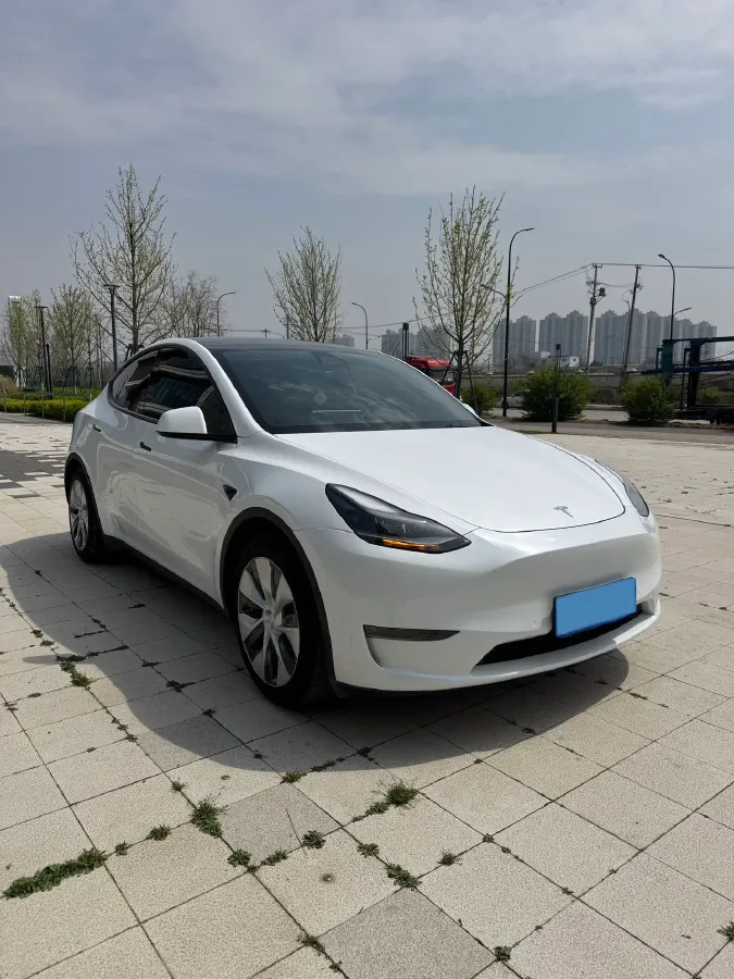 2021 Tesla Model Y BEV 60KWH,autocango,china used car exporter,china ev exporter,chinese used car exporter,chinese used ev exporter
