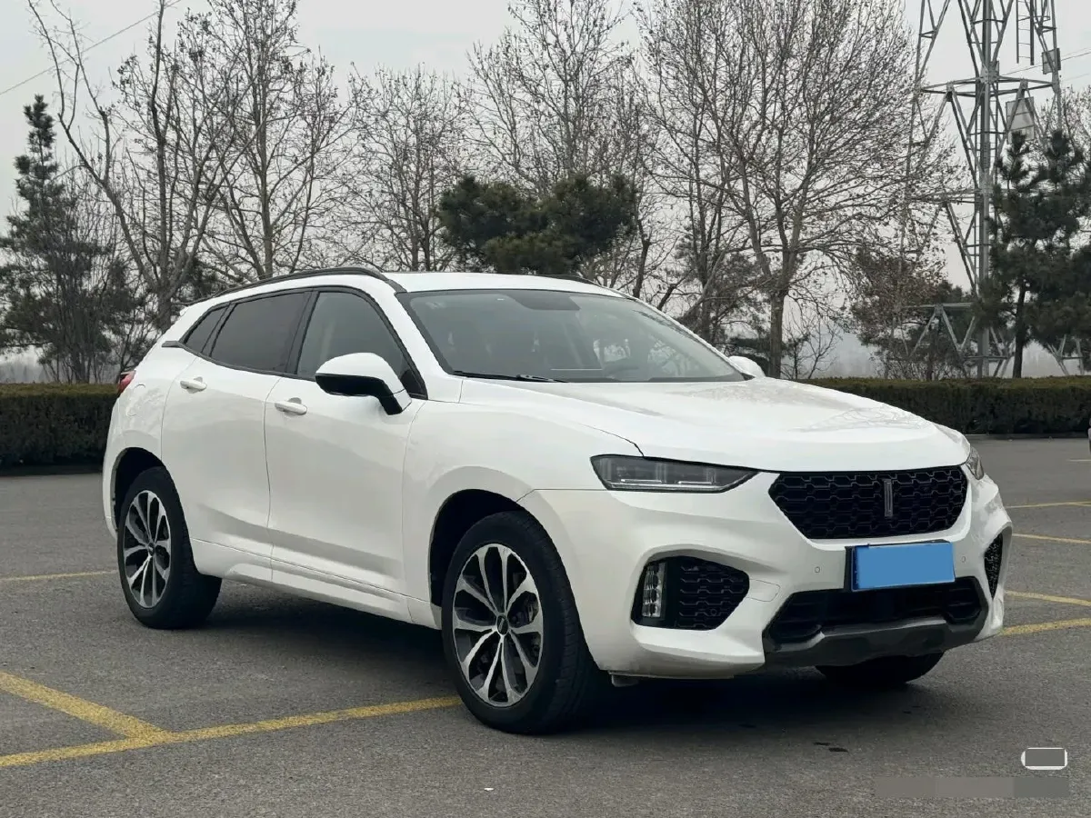 2017 WEY VV7 2.0T 234HP L4 7DCT,autocango,china used car exporter,china ev exporter,chinese used car exporter,chinese used ev exporter