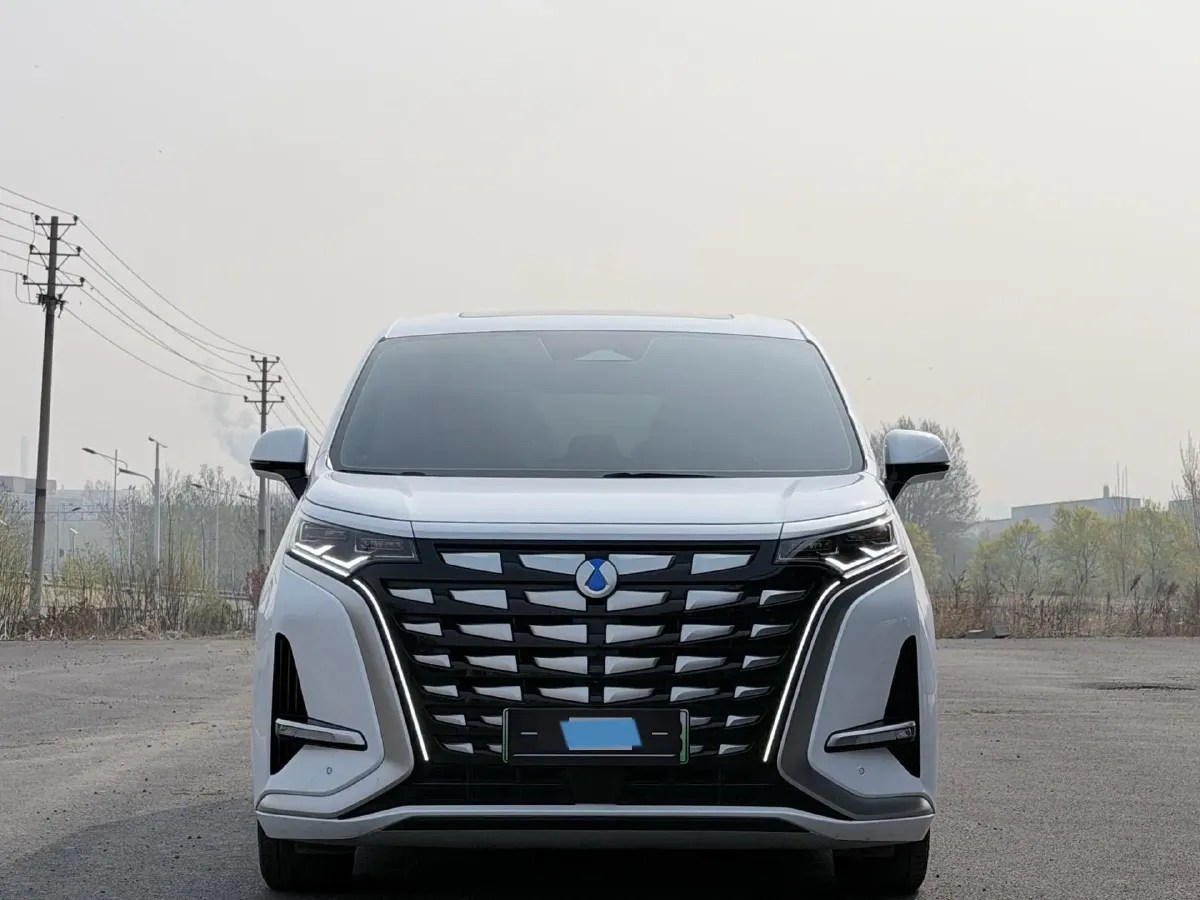 2024 Denza D9 1.5T 139HP L4 E-CVT PHEV 40KWH,autocango,china used car exporter,china ev exporter,chinese used car exporter,chinese used ev exporter