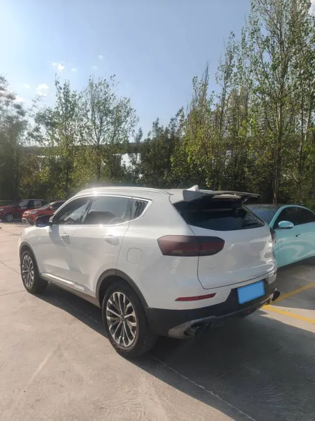 2020 Haval H6 2.0T 224HP L4 7DCT,autocango,china used car exporter,china ev exporter,chinese used car exporter,chinese used ev exporter
