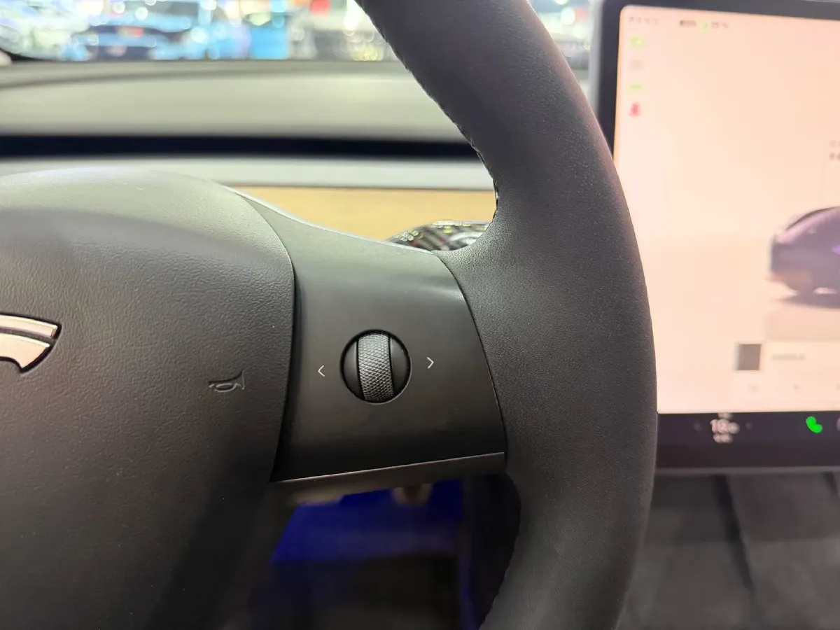 2022 Tesla Model 3 BEV 60KWH,autocango,china used car exporter,china ev exporter,chinese used car exporter,chinese used ev exporter