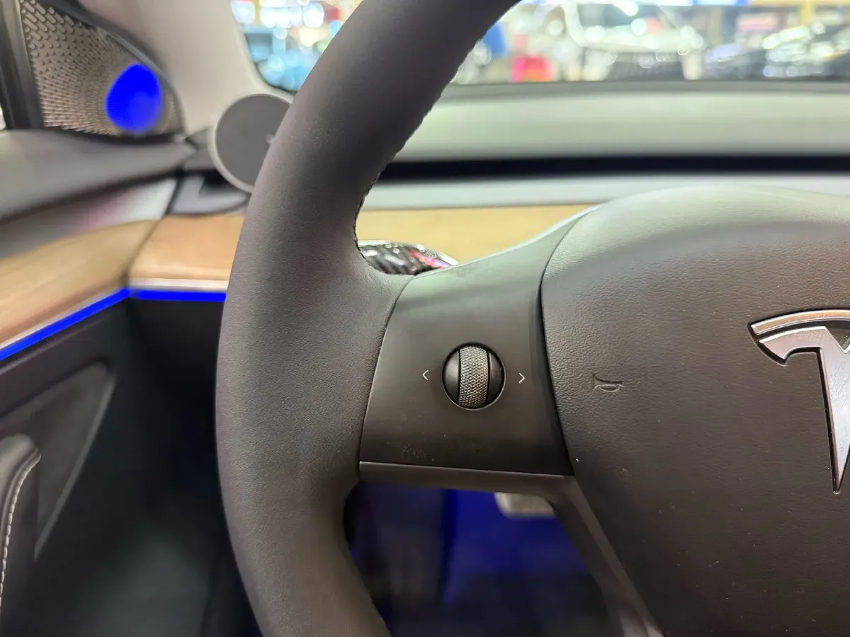 2022 Tesla Model 3 BEV 60KWH,autocango,china used car exporter,china ev exporter,chinese used car exporter,chinese used ev exporter