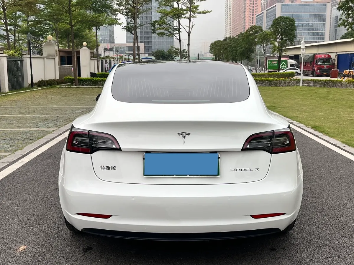 2020 Tesla Model 3 BEV 52KWH,autocango,china used car exporter,china ev exporter,chinese used car exporter,chinese used ev exporter