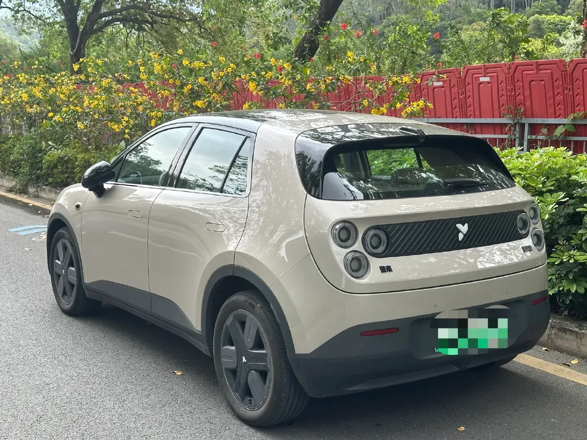 2025 Firefly Firefly BEV,autocango,china used car exporter,china ev exporter,chinese used car exporter,chinese used ev exporter