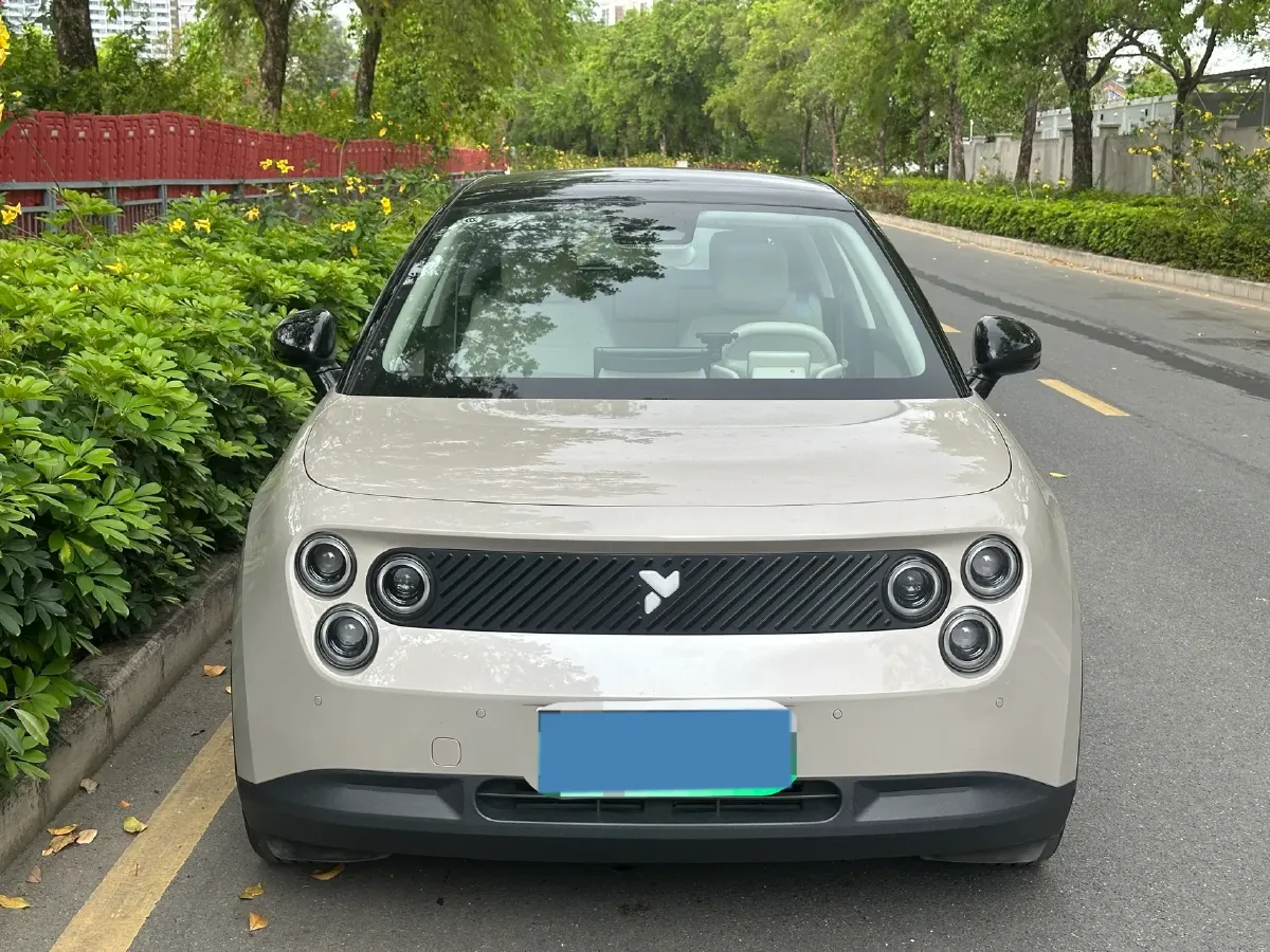 2025 Firefly Firefly BEV,autocango,china used car exporter,china ev exporter,chinese used car exporter,chinese used ev exporter
